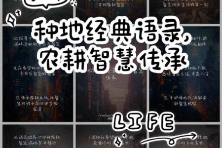 探索男士节日背后的农耕智慧：节令变化与生活调适