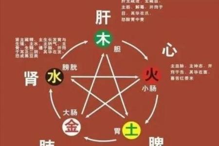 五行格局揭秘:揭秘你的性格密码,避免人生误区