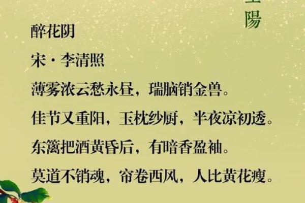 重阳节：登高望远与养生的深层关系