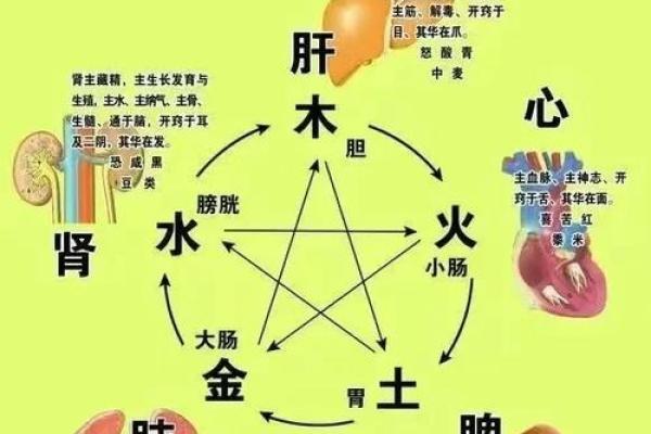 五行格局揭秘：璨五行性格解析，如何发挥潜能？