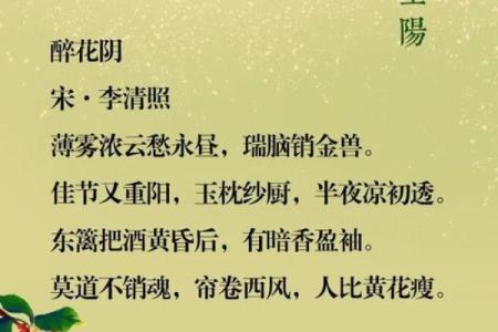 重阳节：登高望远与养生的深层关系