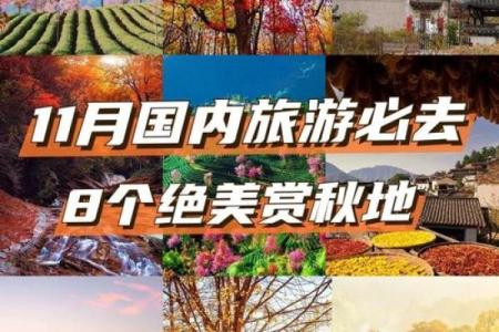 十一月民俗与习惯：深秋时节的地方性庆典和活动