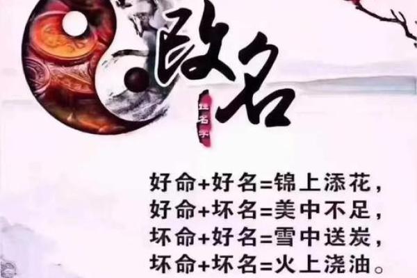 驿字五行格局颠覆传统：揭秘如何改变命运，实现人生逆袭？