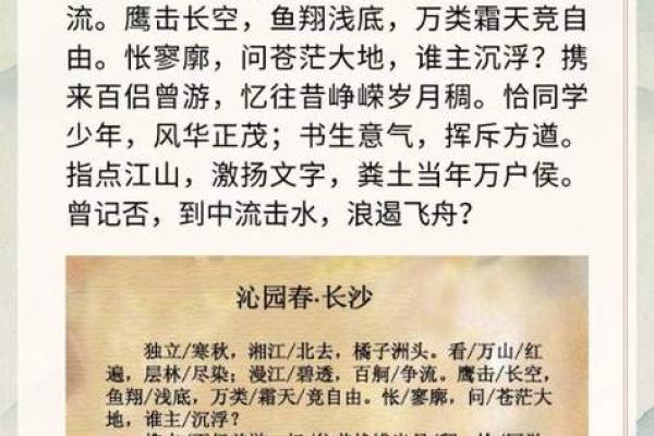 沙溢命理：暗藏玄机的八字背后，命运的真正主宰是？
