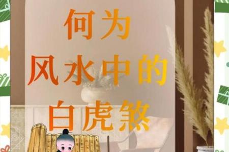 探索八字五行的暗藏玄机，如何通过命理改变未来