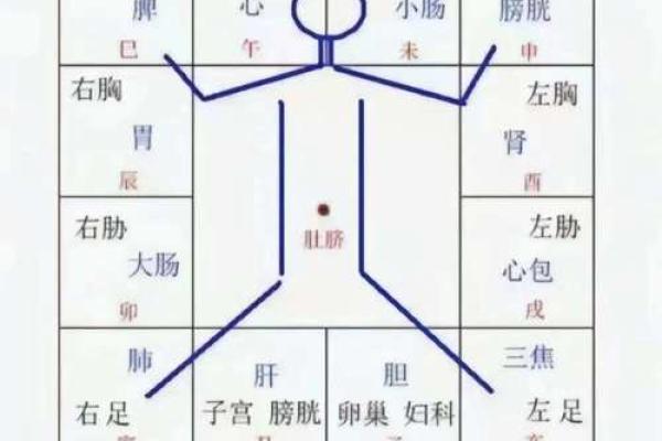 五行格局揭秘：性格解析的神秘密码，你了解自己的真实面貌吗？