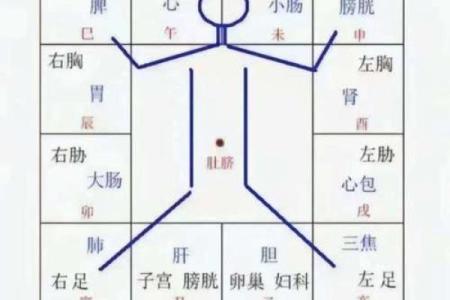 五行格局揭秘：性格解析的神秘密码，你了解自己的真实面貌吗？