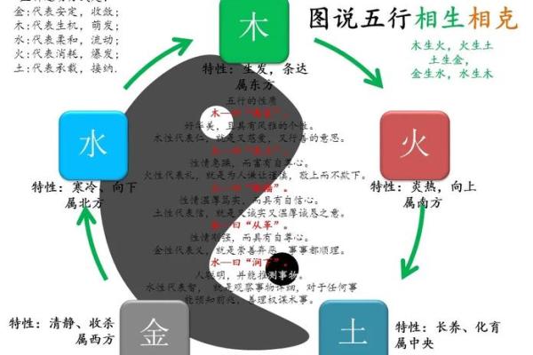 揭秘五行格局：性格解析背后的惊人秘密