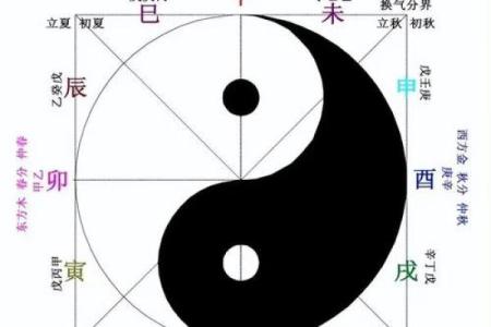 性格解析的五行格局:走出误区,成就非凡人生