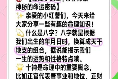 雷集命理真诀,如何通过八字破解命运密码