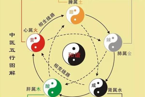 赵师傅传授命运秘籍：风水八字的秘密如何反而改变人生