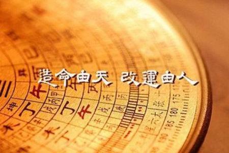 丁巳年五行格局揭秘:如何洞察你的命运走向?
