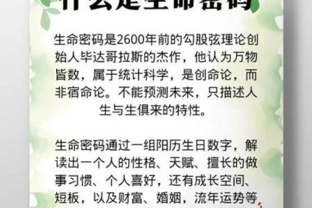 神秘五行格局：揭秘你的性格密码，如何实现人生逆袭？
