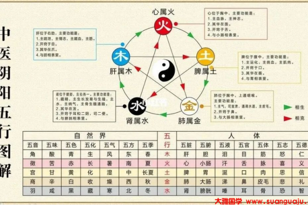 科字五行格局性格解析：揭秘你的命运转折点