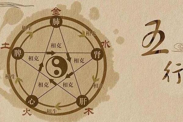 五行格局颠覆：1994年出生的人如何通过木元素改变命运格局