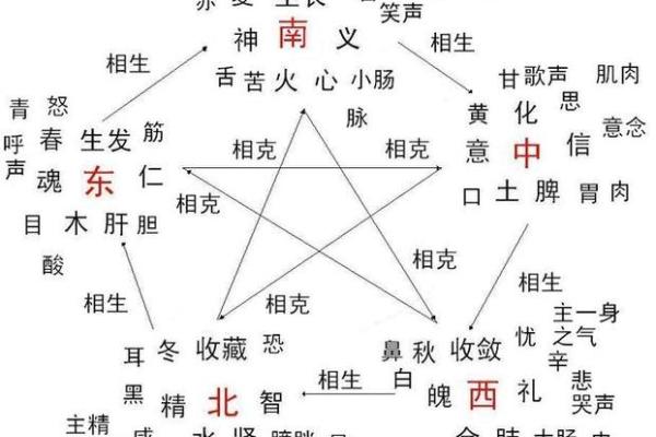金火相融，性格解析：揭秘五行格局中的独特魅力与改变之道