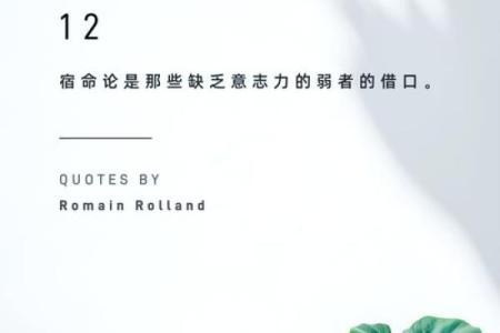 叶脉藏乾坤：五行格局大揭秘——叶字归属之争，反而能助你洞悉自我性格
