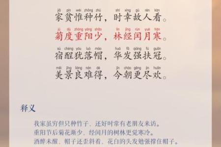 十月十日节日背后的文化故事