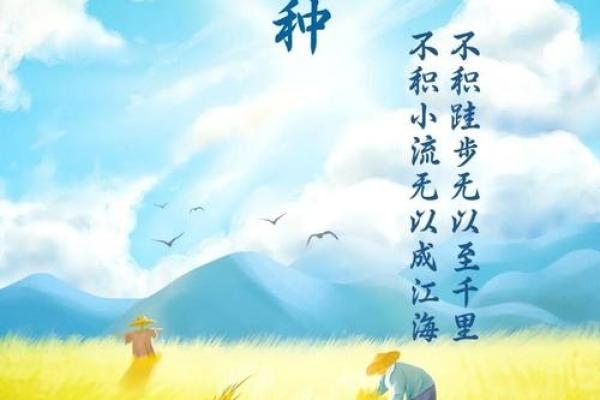 农耕文化的象征：芒种时节的传统习俗