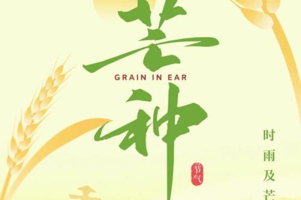 农耕文化的象征：芒种时节的传统习俗