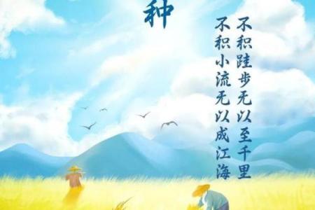 农耕文化的象征：芒种时节的传统习俗
