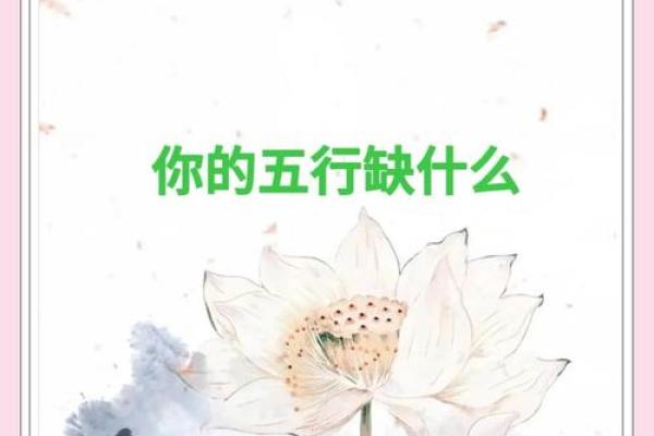 性格解析新视角：五行如何影响你的命运，揭秘你的五行格局