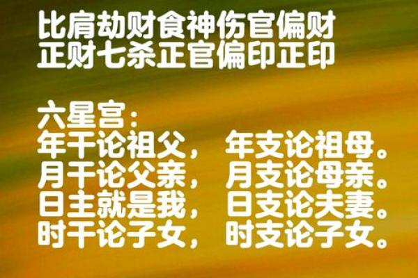 如何改变你的命运密码~揭秘陶命理的暗藏玄机