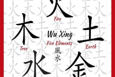 谭字五行格局探秘：反而通过性格解析找到人生新方向