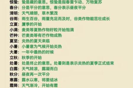 节日习俗与季节变化:感悟中国传统节气的生活智慧