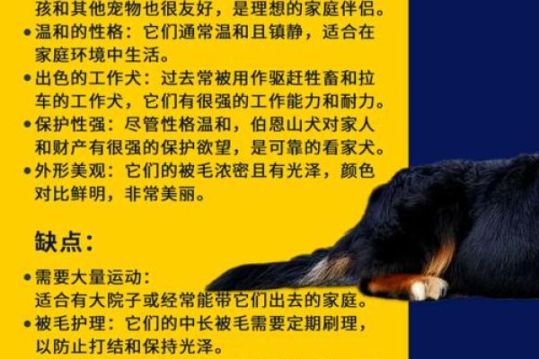 性格解析新视角：山之五行格局，揭示你性格中的隐藏力量