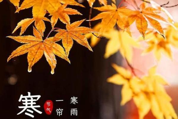 岁月流转，节气与古诗的美丽交织