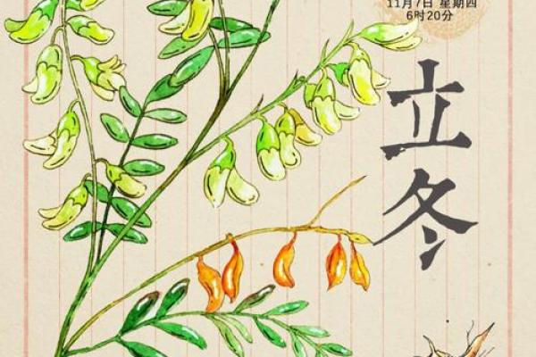 节气，探索养生与食疗的完美结合