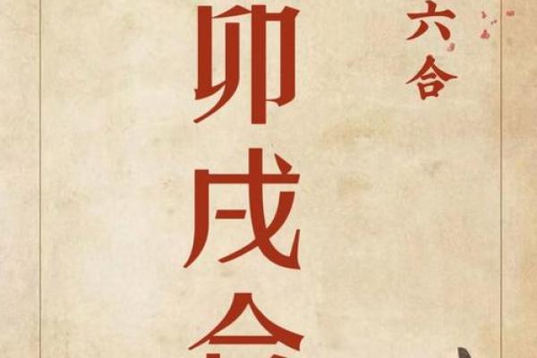 己亥月命理暗藏玄机，破解你命运的真正含义