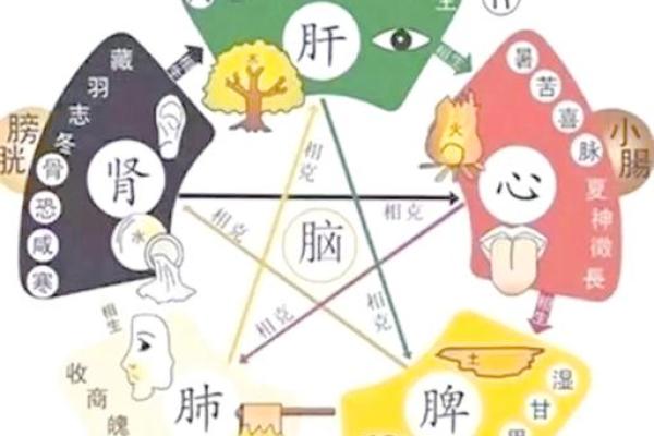 颠覆传统五行：揭秘性格改变的全新格局