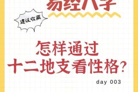 五行格局新解：后五行属何，揭秘性格解析中的实用改变之道