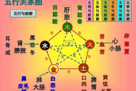 五行格局探秘：妹妹性格的五行密码，你了解多少？