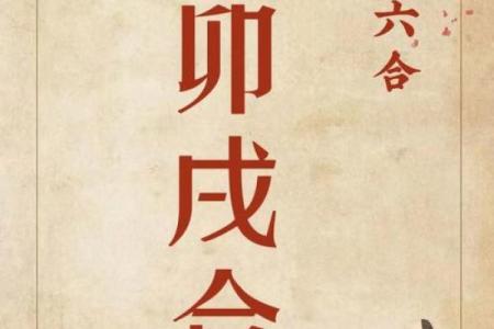 己亥月命理暗藏玄机，破解你命运的真正含义