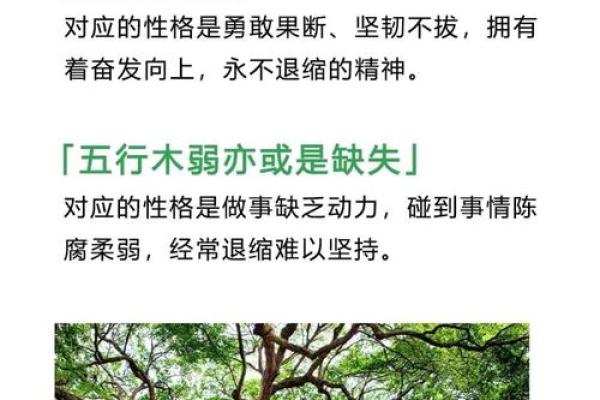 五行格局中的金水缺失，揭秘如何通过改变提升性格魅力