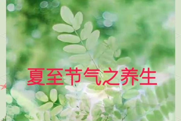 夏至节：夏至节气的天文现象与夏季养生的传统智慧