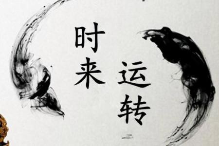 误区大揭秘：钟汉良结婚时间与八字命理的真实关系