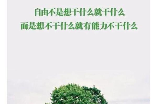 井柏然婚姻背后暗藏玄机：如何改变命运才是关键