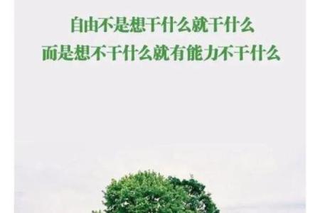 井柏然婚姻背后暗藏玄机：如何改变命运才是关键