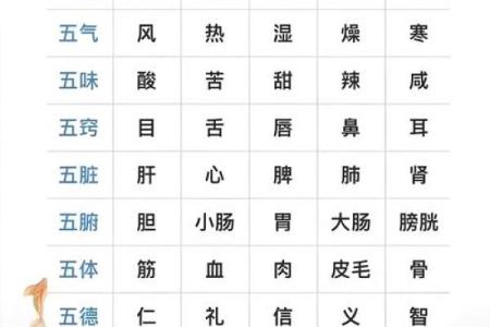 破解五行密码：名字中的性格解析与命运影响