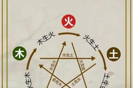 如何改变命运？揭秘1979年出生者的五行格局调整之道