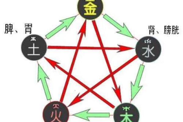 性格解析新视角：舒字的五行之谜，是木还是金？揭秘五行格局中的性格秘密