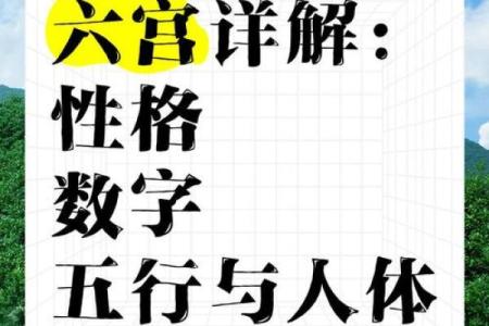 性格解析：五行格局助你洞悉内心深处的自己
