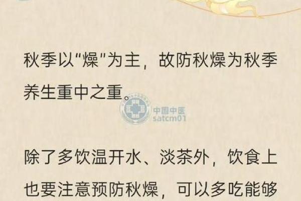 重阳节的养生理念与韩国文化传承