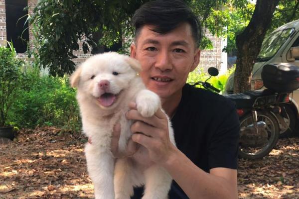 你是否误解了耳垂长白毛的玄机？如何改变你的命运？