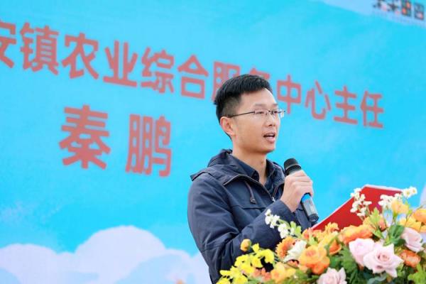农耕文化与天文知识的深度融合