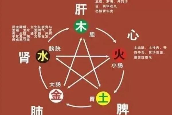 颠覆传统五行格局，性格解析教你如何找到人生平衡？